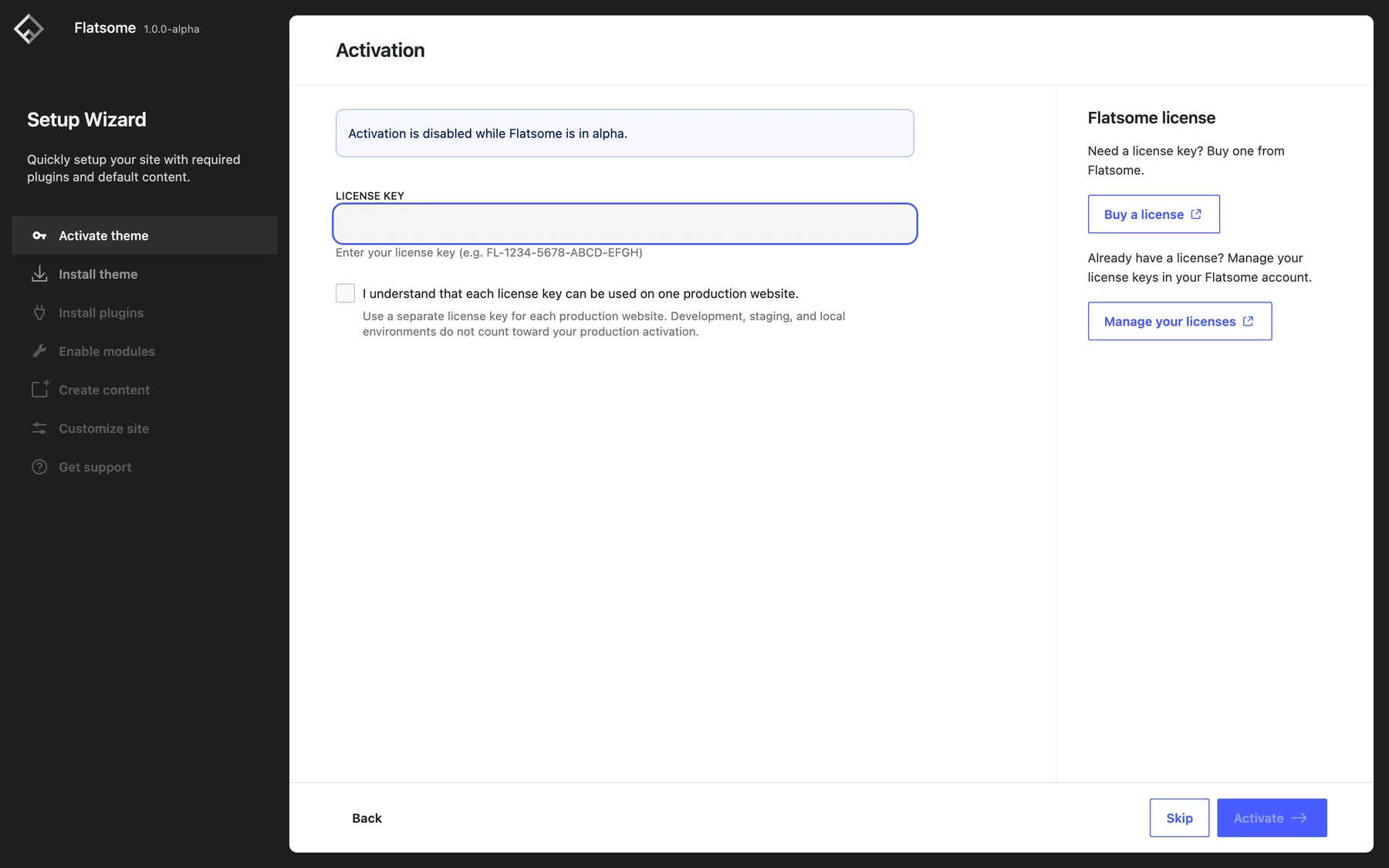 Setup wizard Activation step with an alpha notice, the License key field highlighted, and the wizard steps in the sidebar