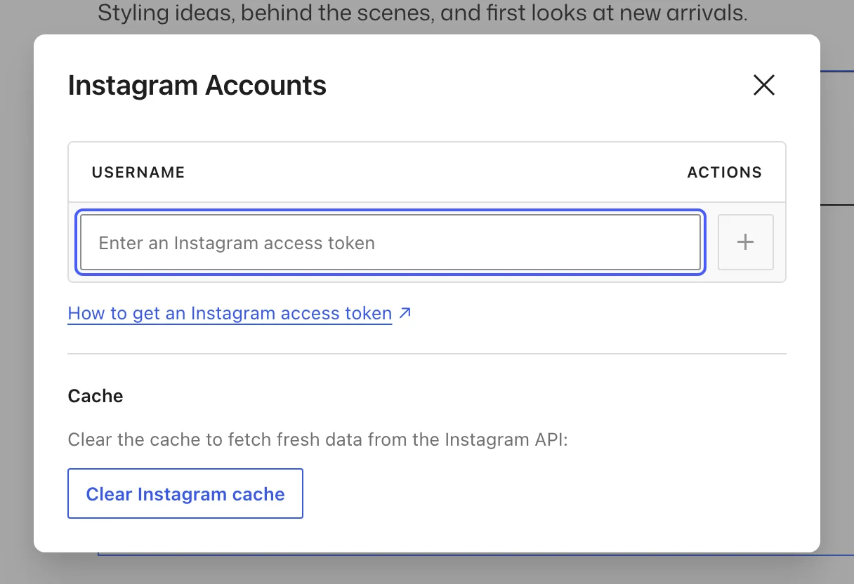 Instagram Accounts dialog with the empty access token field highlighted, a plus button beside it, and a Clear Instagram cache button below